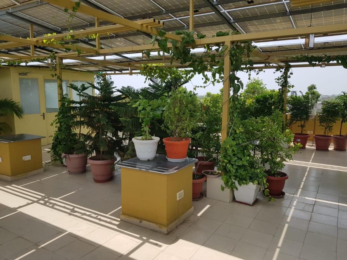 吉恩蒙特传统精品酒店 斋浦尔 外观 照片